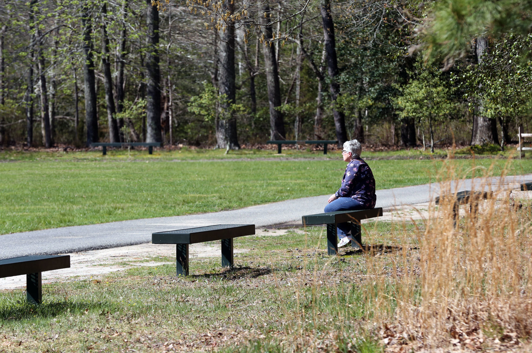 Parks open